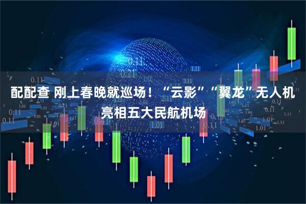 配配查 刚上春晚就巡场！“云影”“翼龙”无人机亮相五大民航机场