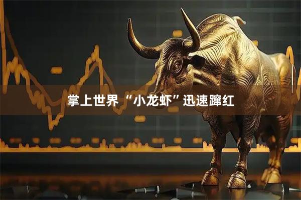 掌上世界 “小龙虾”迅速蹿红