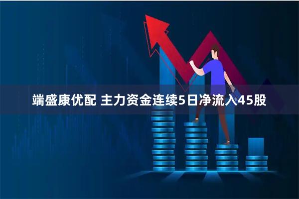 端盛康优配 主力资金连续5日净流入45股