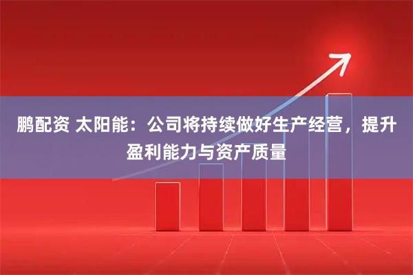 鹏配资 太阳能：公司将持续做好生产经营，提升盈利能力与资产质量