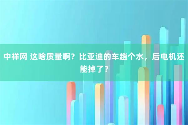 中祥网 这啥质量啊？比亚迪的车趟个水，后电机还能掉了？