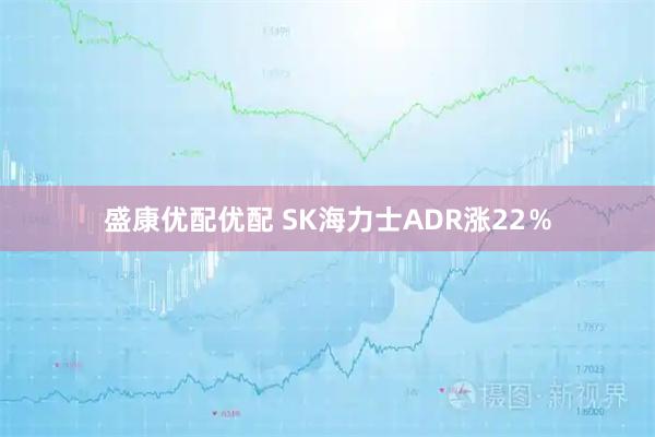 盛康优配优配 SK海力士ADR涨22％