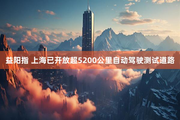 益阳指 上海已开放超5200公里自动驾驶测试道路