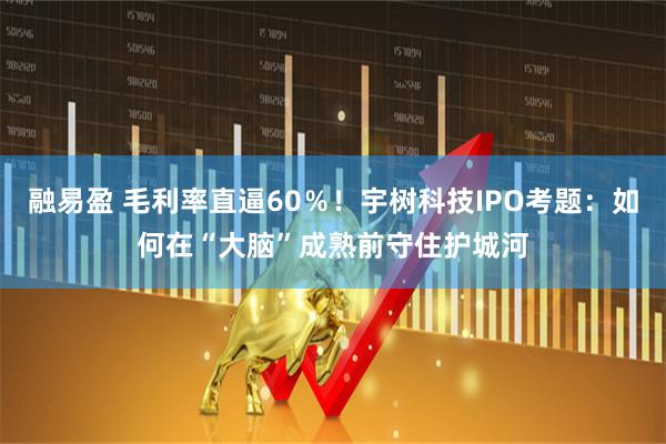 融易盈 毛利率直逼60％！宇树科技IPO考题：如何在“大脑”成熟前守住护城河