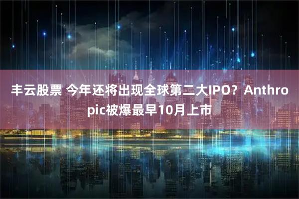 丰云股票 今年还将出现全球第二大IPO？Anthropic被爆最早10月上市