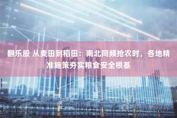 翻乐股 从麦田到稻田：南北同频抢农时，各地精准施策夯实粮食安全根基