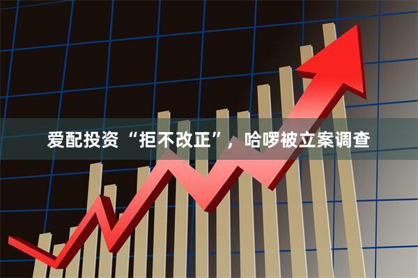 爱配投资 “拒不改正”，哈啰被立案调查