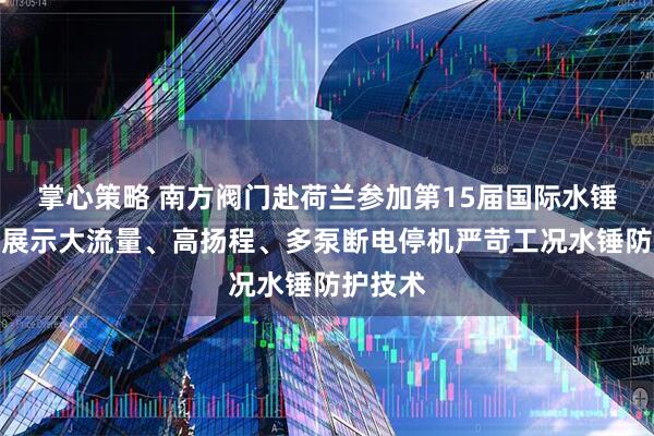 掌心策略 南方阀门赴荷兰参加第15届国际水锤大会，展示大流量、高扬程、多泵断电停机严苛工况水锤防护技术