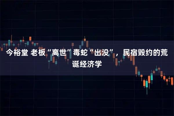 今裕堂 老板“离世”毒蛇“出没”，民宿毁约的荒诞经济学