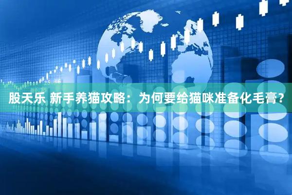 股天乐 新手养猫攻略：为何要给猫咪准备化毛膏？
