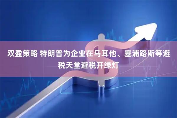 双盈策略 特朗普为企业在马耳他、塞浦路斯等避税天堂避税开绿灯