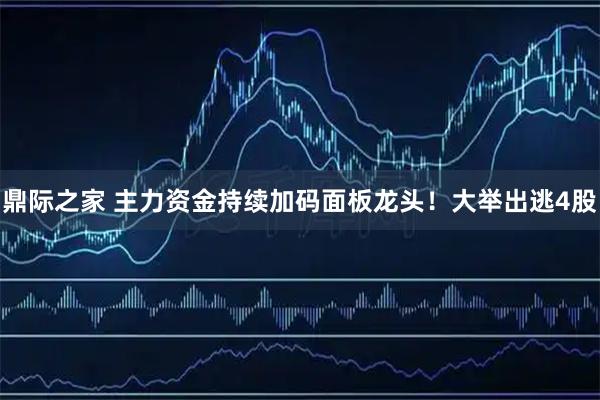 鼎际之家 主力资金持续加码面板龙头！大举出逃4股