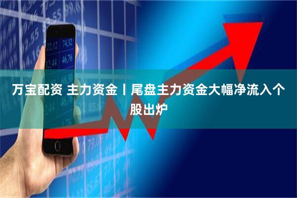 万宝配资 主力资金丨尾盘主力资金大幅净流入个股出炉
