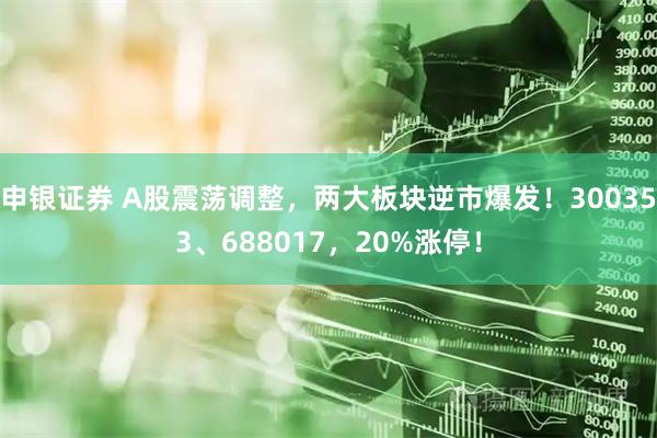 申银证券 A股震荡调整，两大板块逆市爆发！300353、688017，20%涨停！