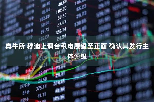 真牛所 穆迪上调台积电展望至正面 确认其发行主体评级